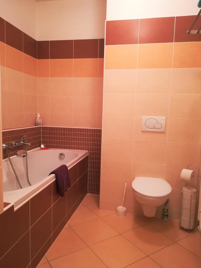 Apartment Promenada Podebrady Exterior photo